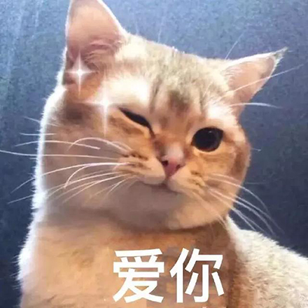 金利集成灶：520最好的告白，是为心爱的人做一辈子的饭